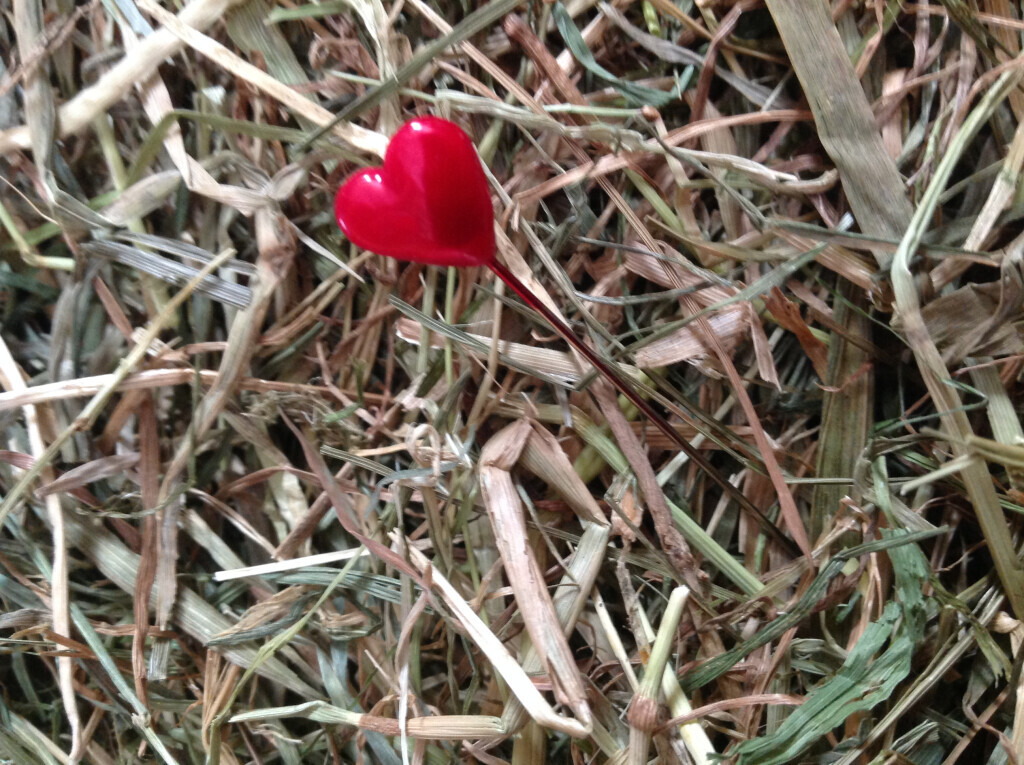 Bilder EntruempelungNRW - zuverlässig. schnell. diskret