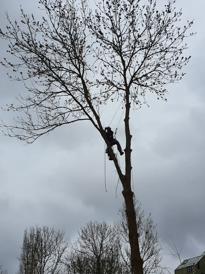 Bilder Blieninger - Steuerberater Rechtsbeistand - Landshut