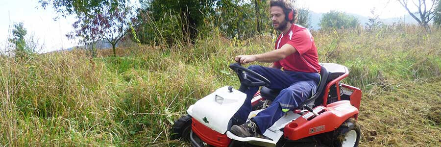 Bilder Blieninger - Steuerberater Rechtsbeistand - Landshut