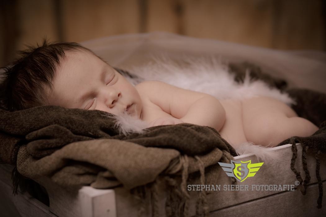 Bilder Fotostudio Picturebaer