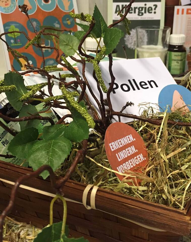 Bilder Löwen Apotheke