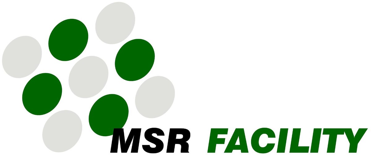 MSR Facility GmbH Logo