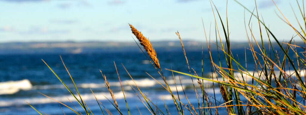 Bilder Zahnärztin Annina Borowiak