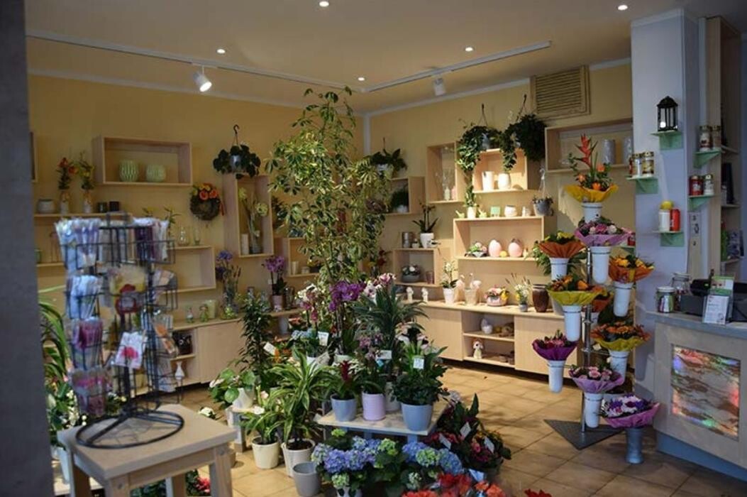 Bilder Blumenhaus Lutz