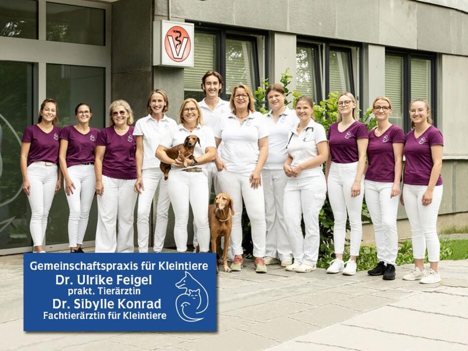 Bilder Tierärzte IVC Evidensia GmbH Tierärztezentrum Landshut