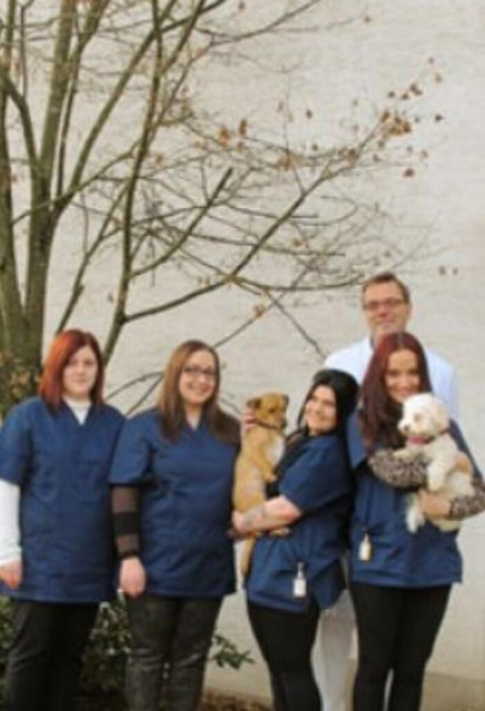 Bilder Tierärztliche Praxis Dr. med. vet. Martin Rammensee