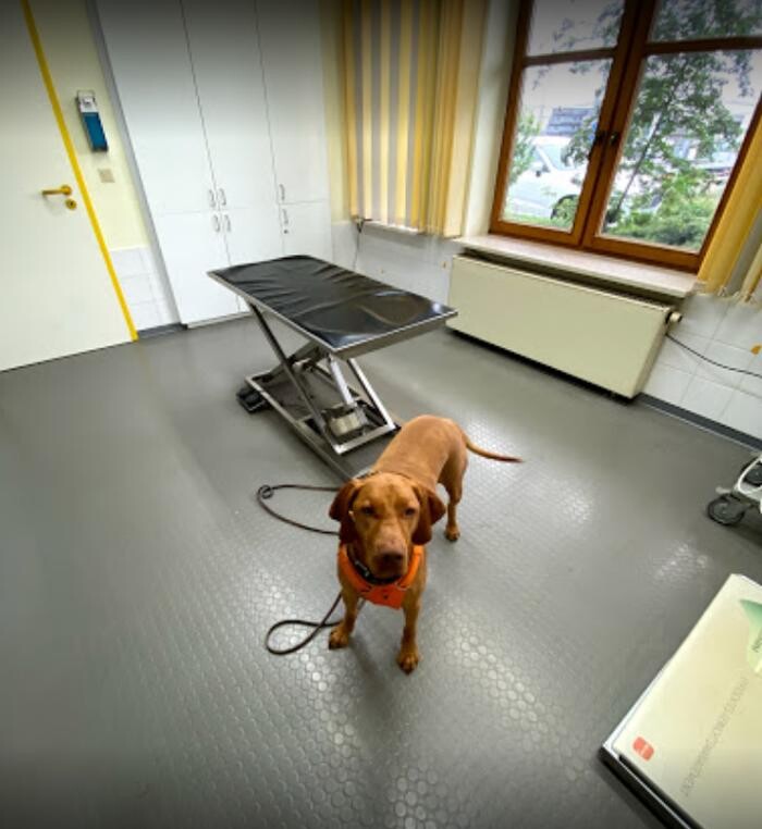 Bilder Tierärztliche Praxis Dr. med. vet. Martin Rammensee