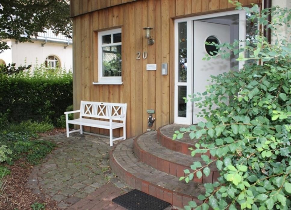 Bilder Tierarztpraxis vier Pfoten