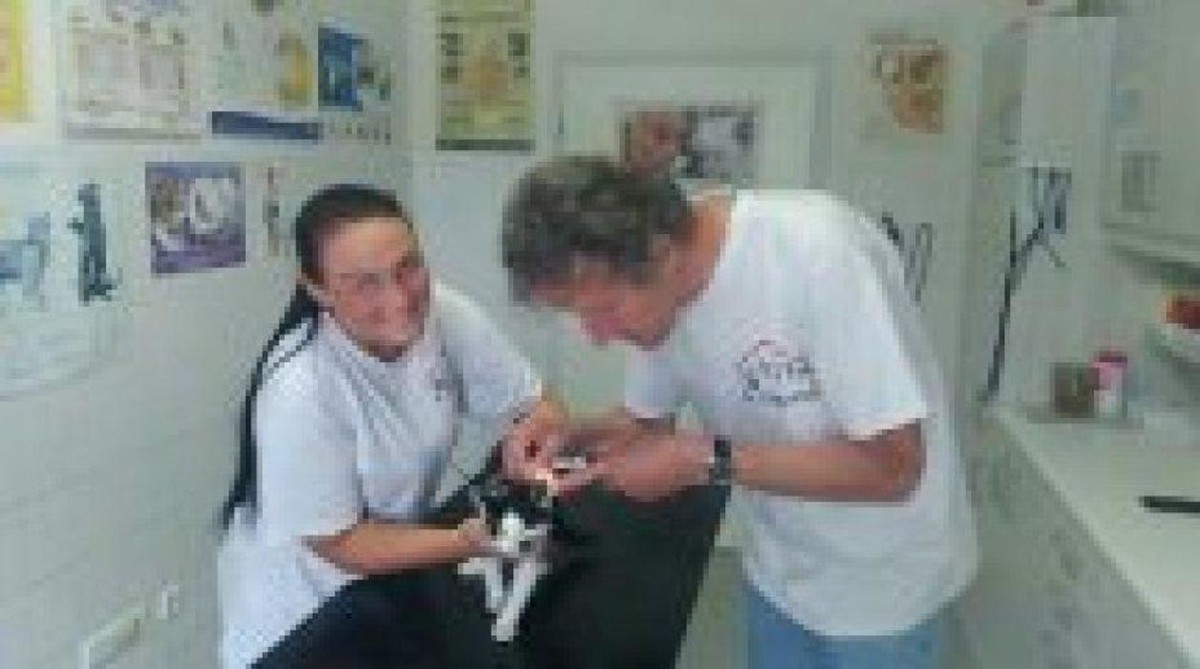 Bilder Tierarztpraxis Dr. Lindemann