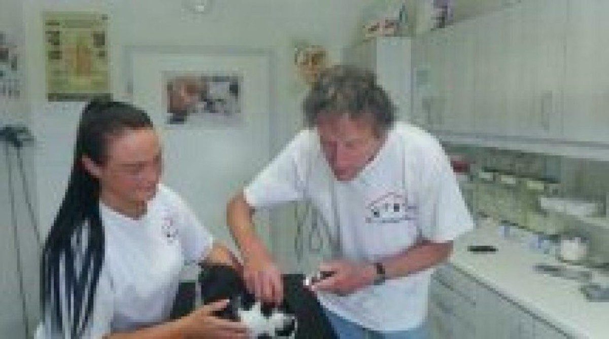 Bilder Tierarztpraxis Dr. Lindemann