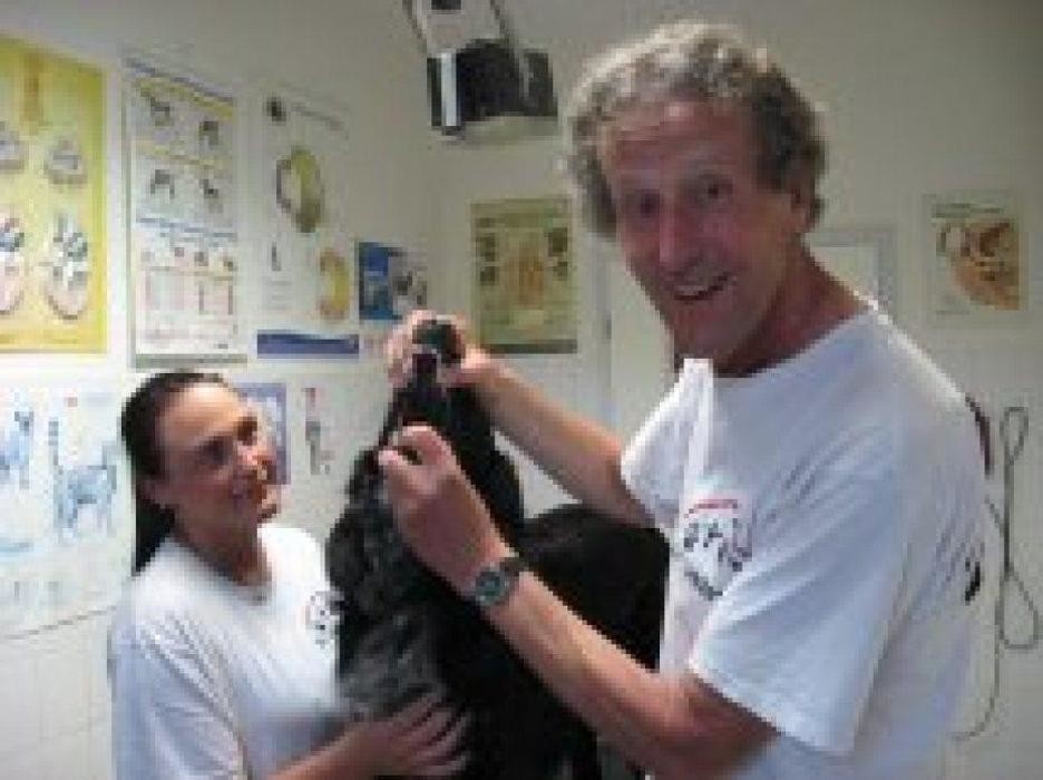 Bilder Tierarztpraxis Dr. Lindemann