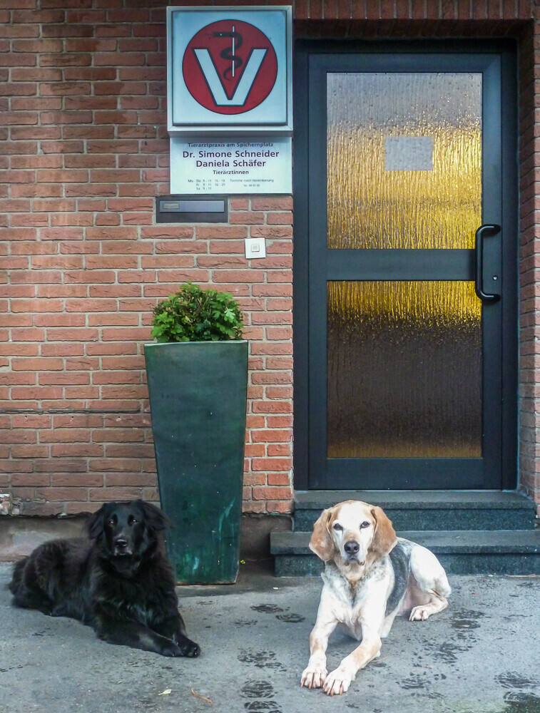 Bilder Tierarztpraxis am Spichernplatz Dr. Simone Schneider und Daniela Schäfer