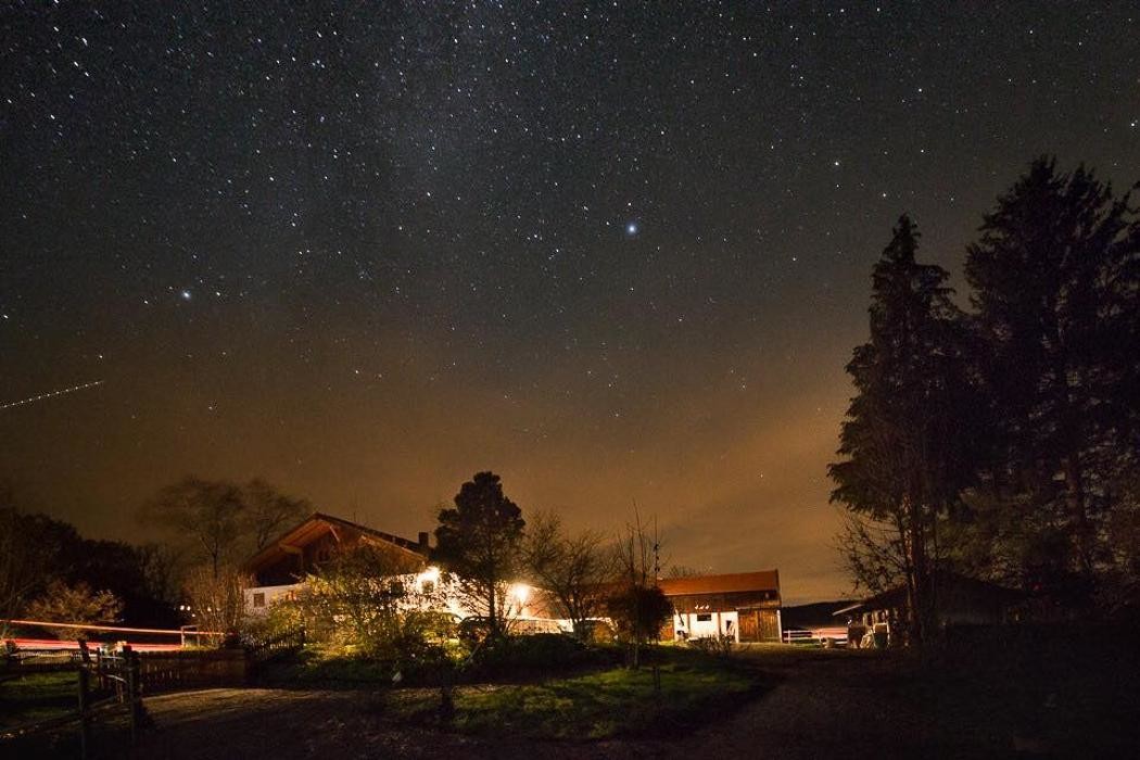 Bilder Instyle Quarterhorse