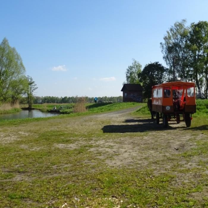 Bilder Ferienwohnungen Lübbenau Altstadt