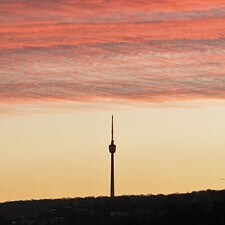 Bilder Thilo Rose Immobilien