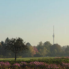 Bilder Thilo Rose Immobilien