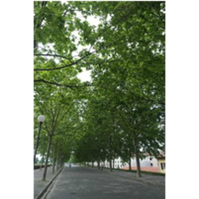 Bilder Wirth Immobilien OHG