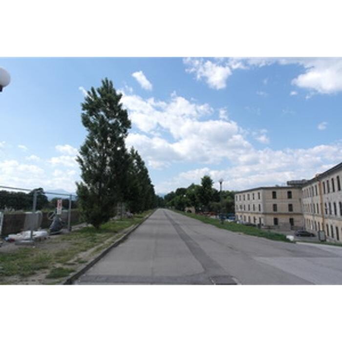 Bilder Wirth Immobilien OHG