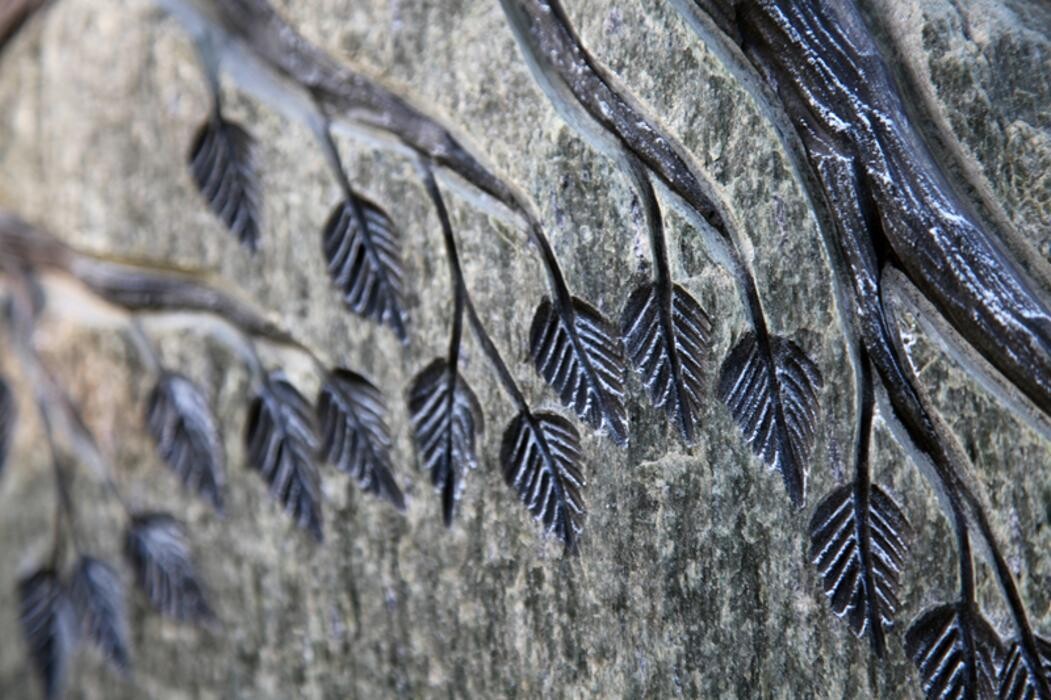 Bilder Schmitt-Moos Beerdigungsinstitut