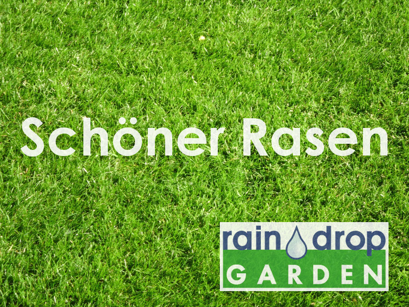 Bilder raindrop & garden GmbH