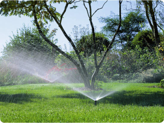 Bilder raindrop & garden GmbH