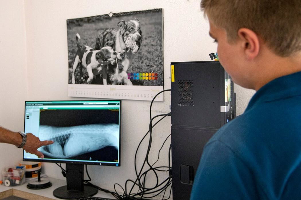 Bilder Tierärztliche Gemeinschaftspraxis Dr. Bert Hülsmann und Dr. Johannes Unland