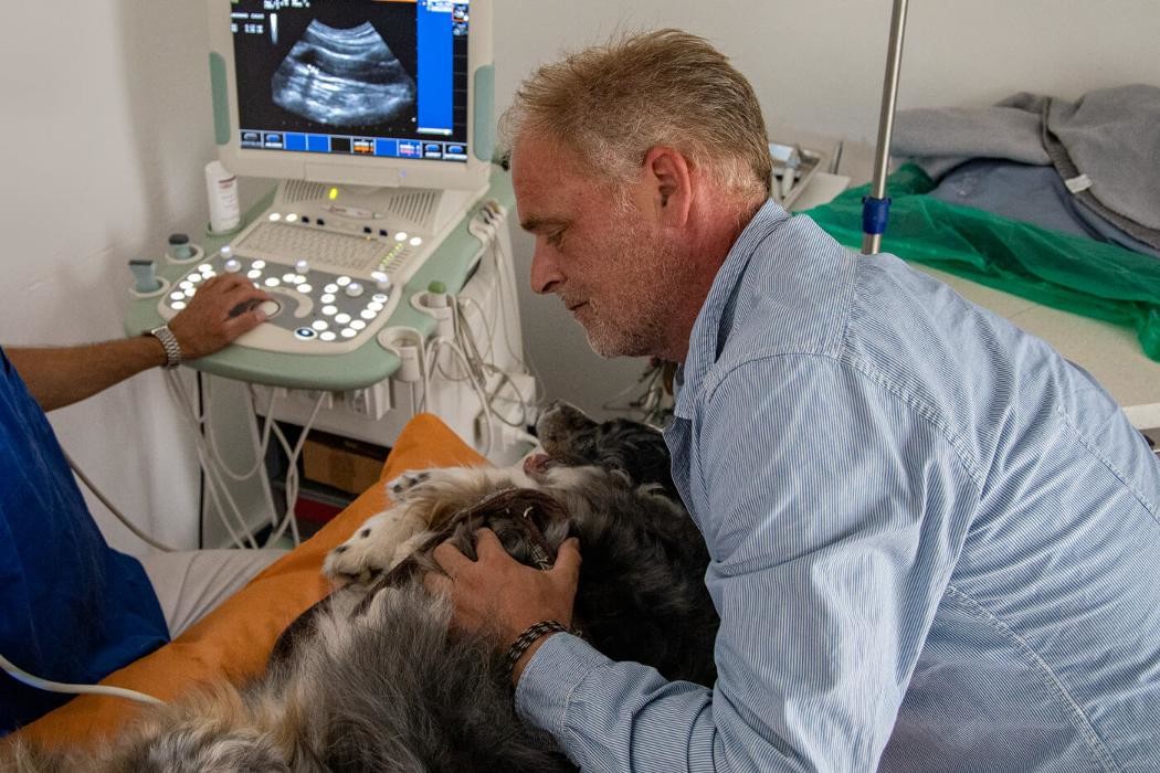 Bilder Tierärztliche Gemeinschaftspraxis Dr. Bert Hülsmann und Dr. Johannes Unland