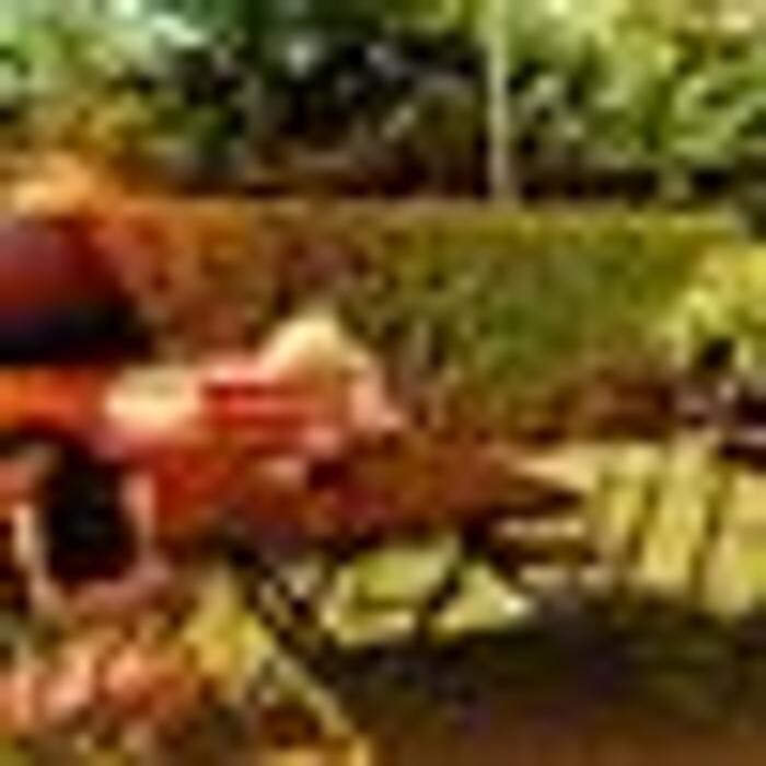 Bilder Gasthof Lutter