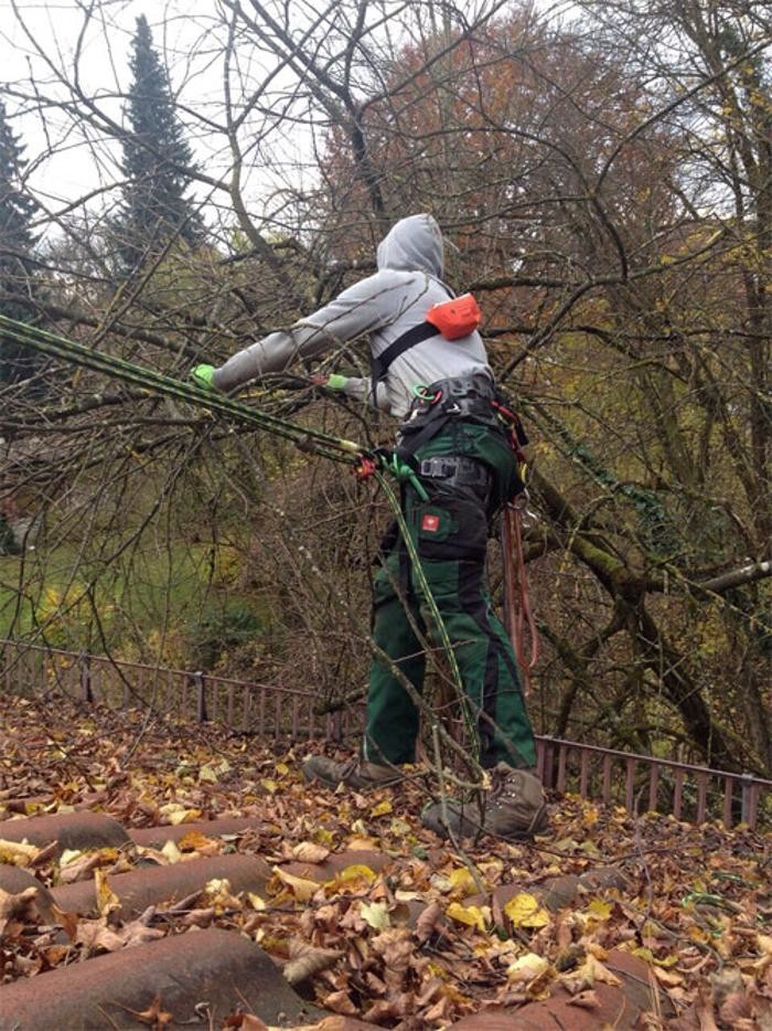 Bilder Verde Gartenbau Meisterbetrieb