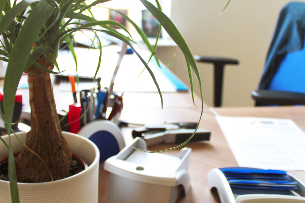 Bilder Steuerberater Tino Günther