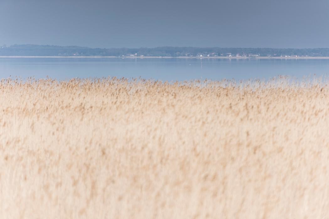 Bilder Landhaus Usedom "Kamphof"