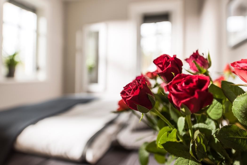 Bilder Landhaus Usedom "Kamphof"