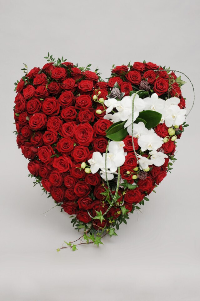 Bilder Gartencenter A-Z Velbert GmbH