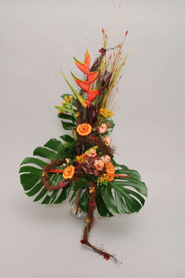 Bilder Gartencenter A-Z Velbert GmbH