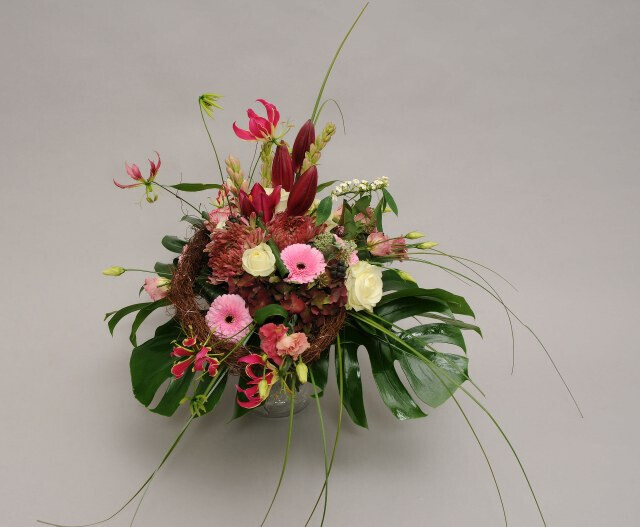 Bilder Gartencenter A-Z Velbert GmbH