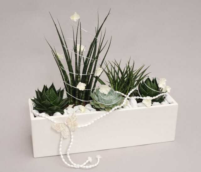 Bilder Gartencenter A-Z Velbert GmbH