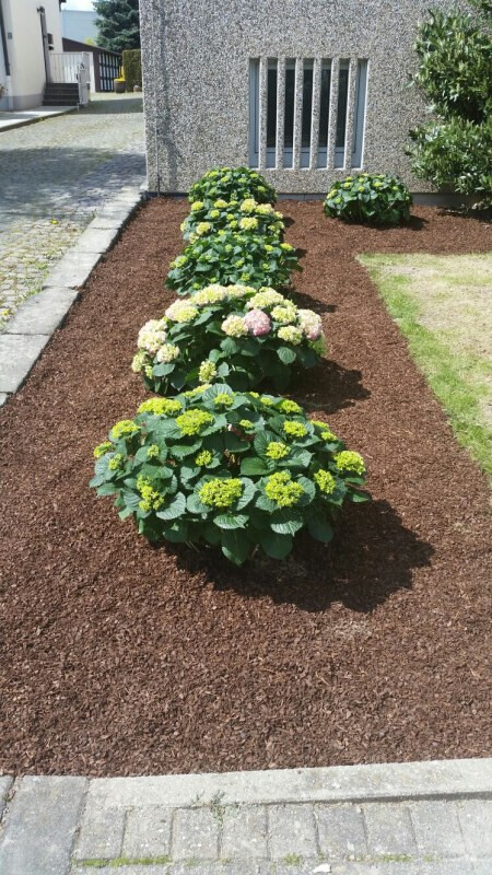 Bilder Gartencenter A-Z Velbert GmbH