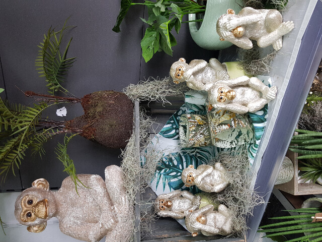 Bilder Gartencenter A-Z Velbert GmbH