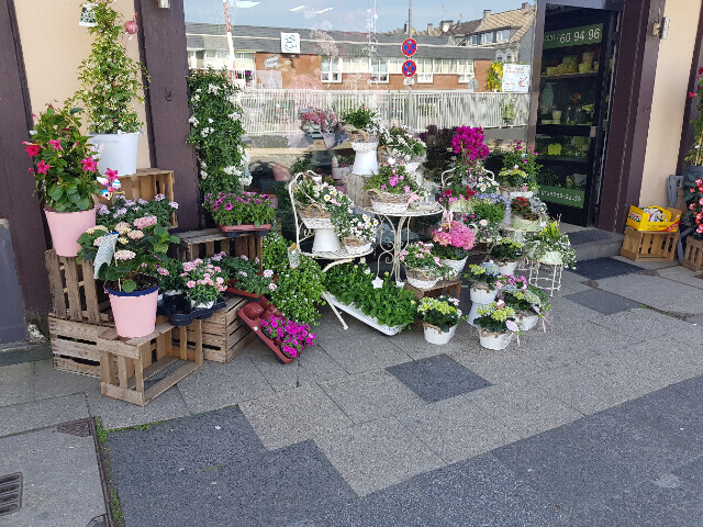 Bilder Gartencenter A-Z Velbert GmbH