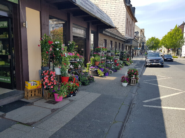 Bilder Gartencenter A-Z Velbert GmbH