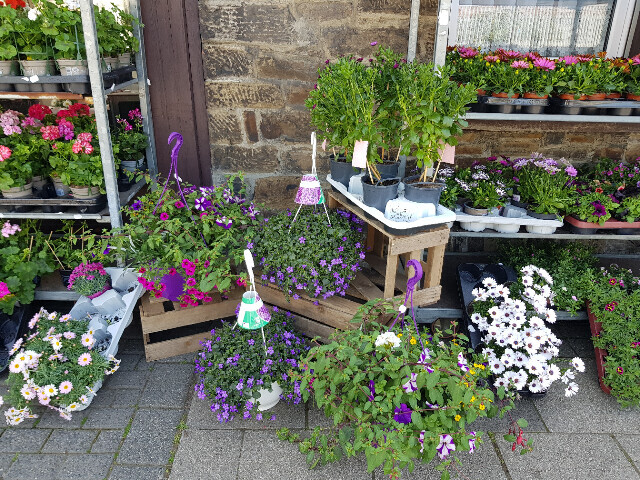 Bilder Gartencenter A-Z Velbert GmbH