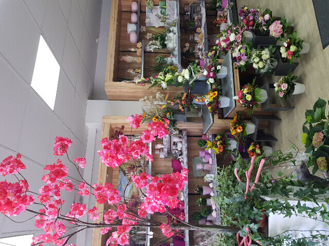 Bilder Gartencenter A-Z Velbert GmbH