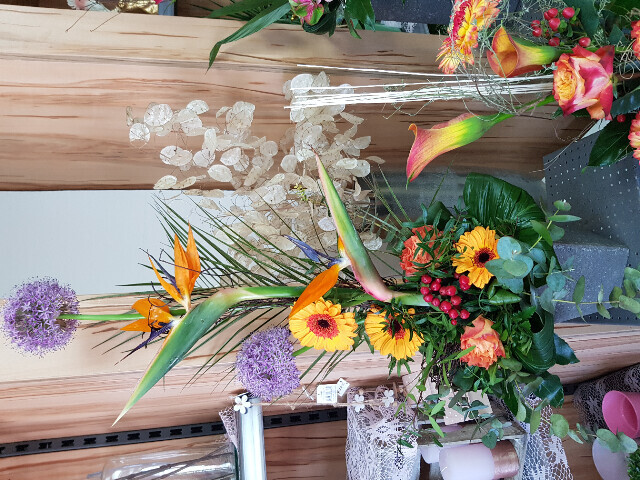 Bilder Gartencenter A-Z Velbert GmbH