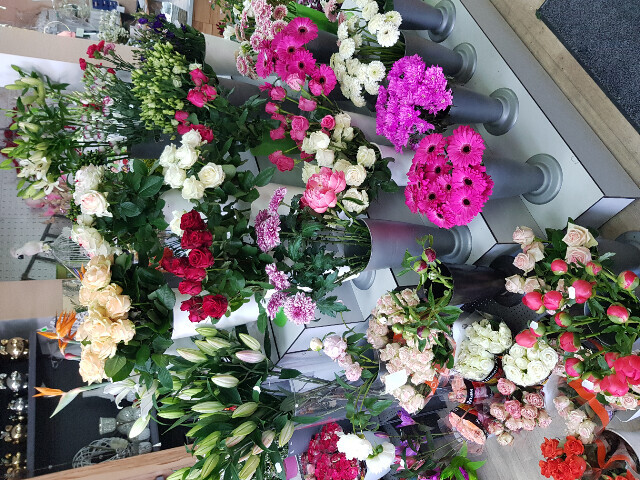 Bilder Gartencenter A-Z Velbert GmbH