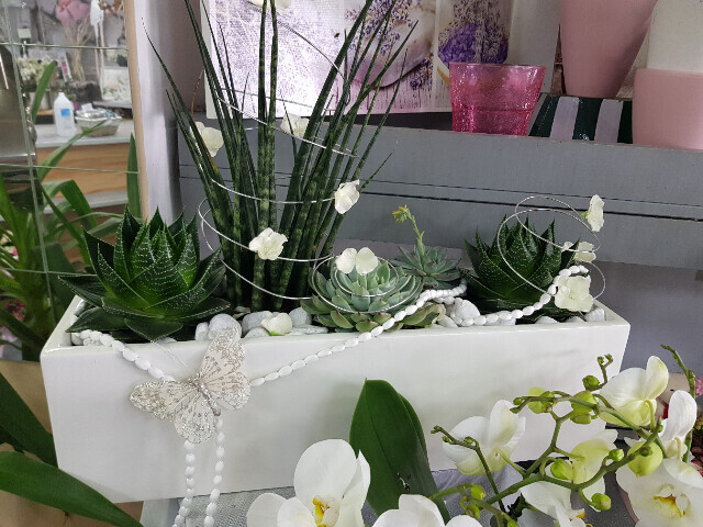 Bilder Gartencenter A-Z Velbert GmbH