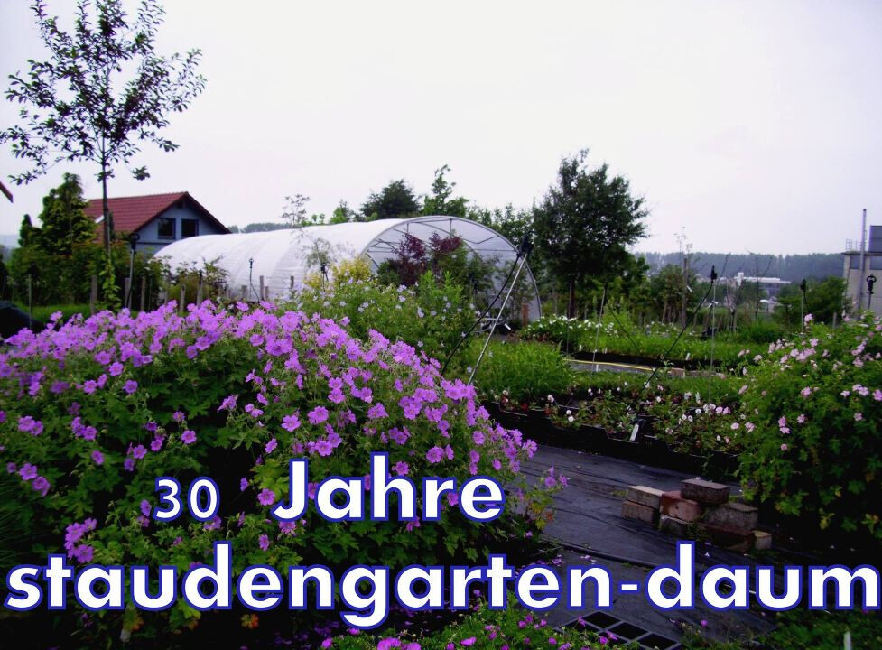 Bilder Staudengarten Daum
