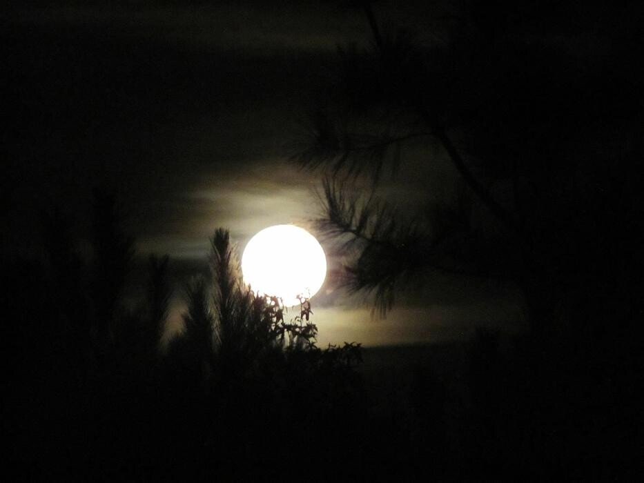 Bilder Astrologie Landes