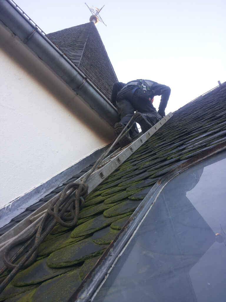 Bilder Stefan Henseleit Hausmeisterservice