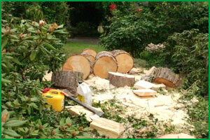 Bilder Stefan Henseleit Hausmeisterservice