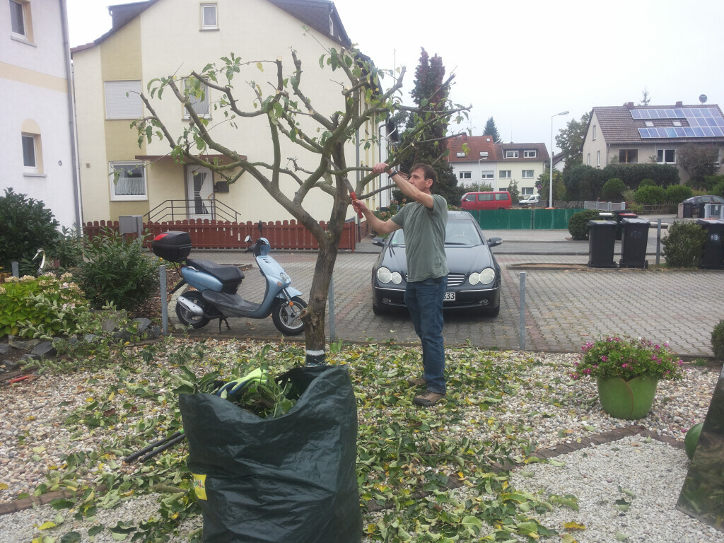 Bilder Stefan Henseleit Hausmeisterservice